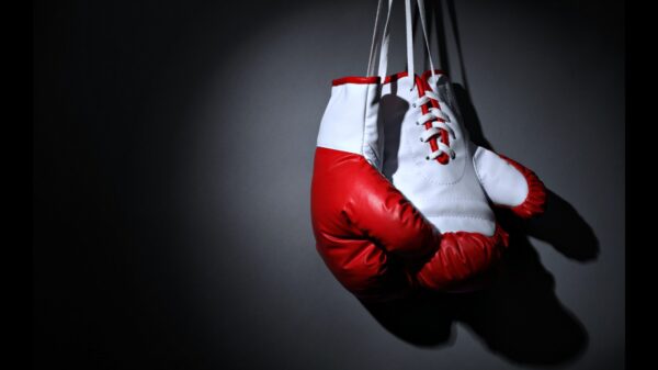 best Kickboxing gloves
