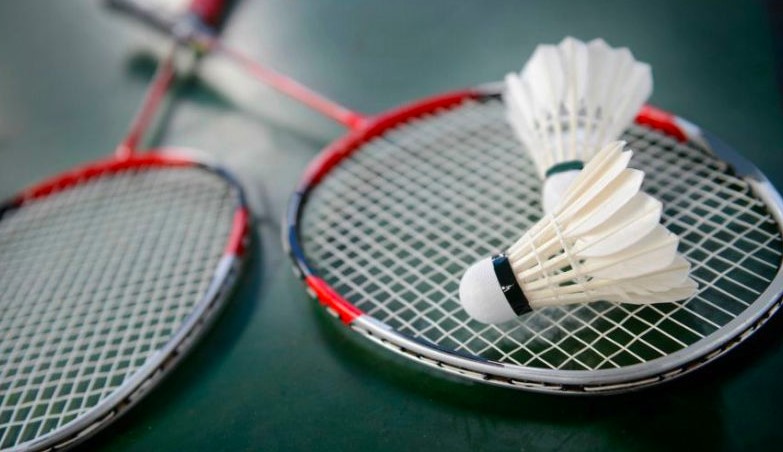 Normal Racket 14 Best Rackets in 2026 - Reviewed & Buying Guide