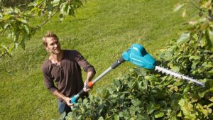 Best Pole Hedge Trimmer